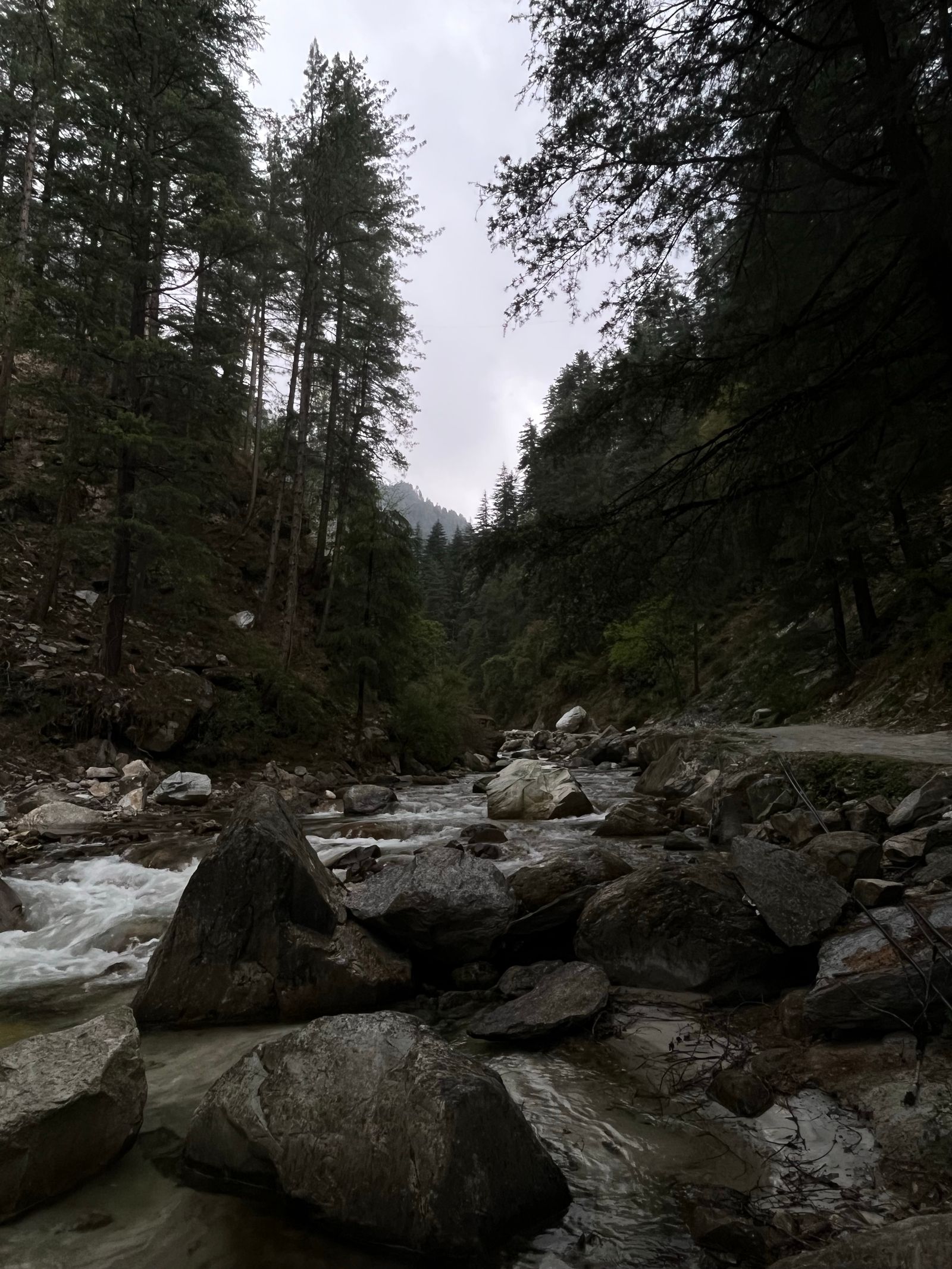 Himachal Backpacking Trip