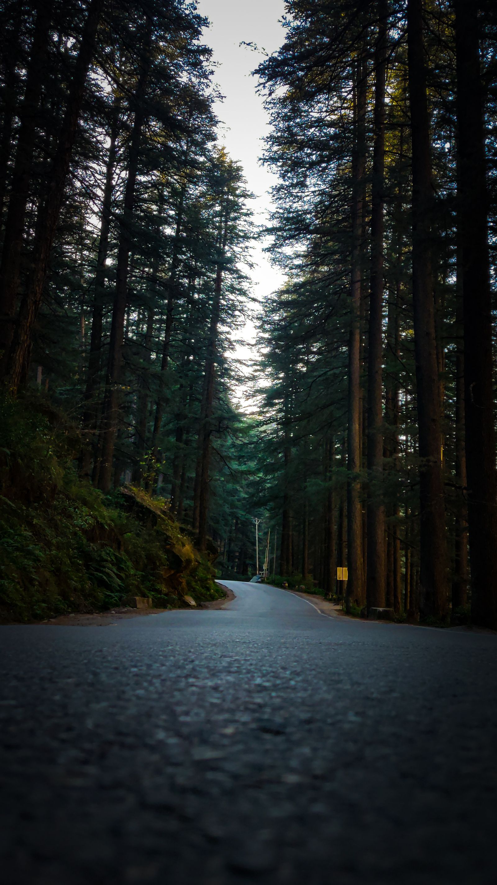 Chanderkhani Pass & Malana Trek