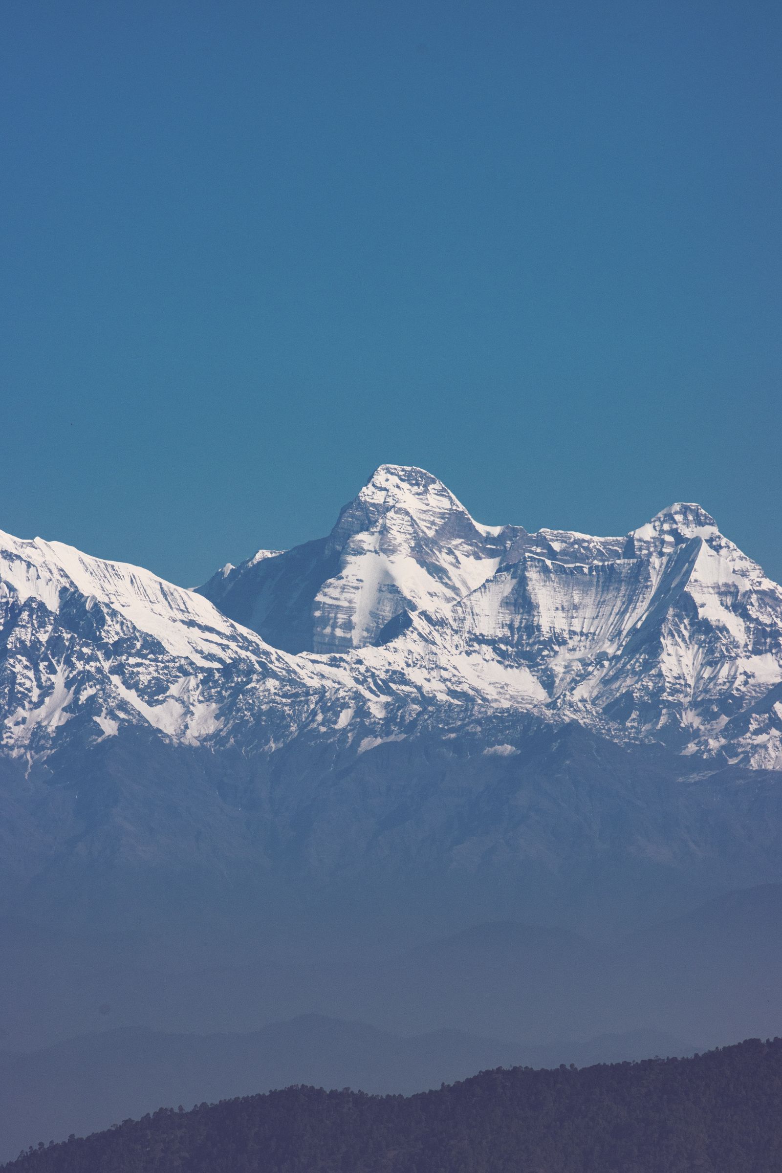 Palampur, Bir & Andretta Tea-Country Escape