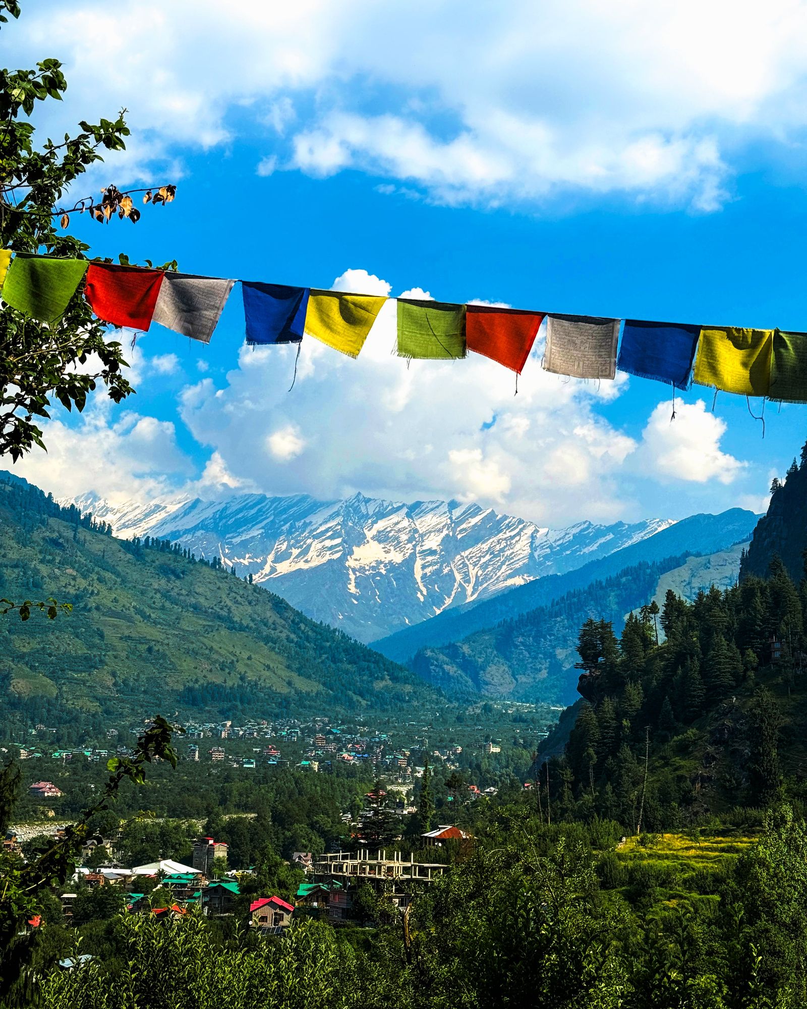 Manali, Rohtang & Atal Tunnel Snow Trip