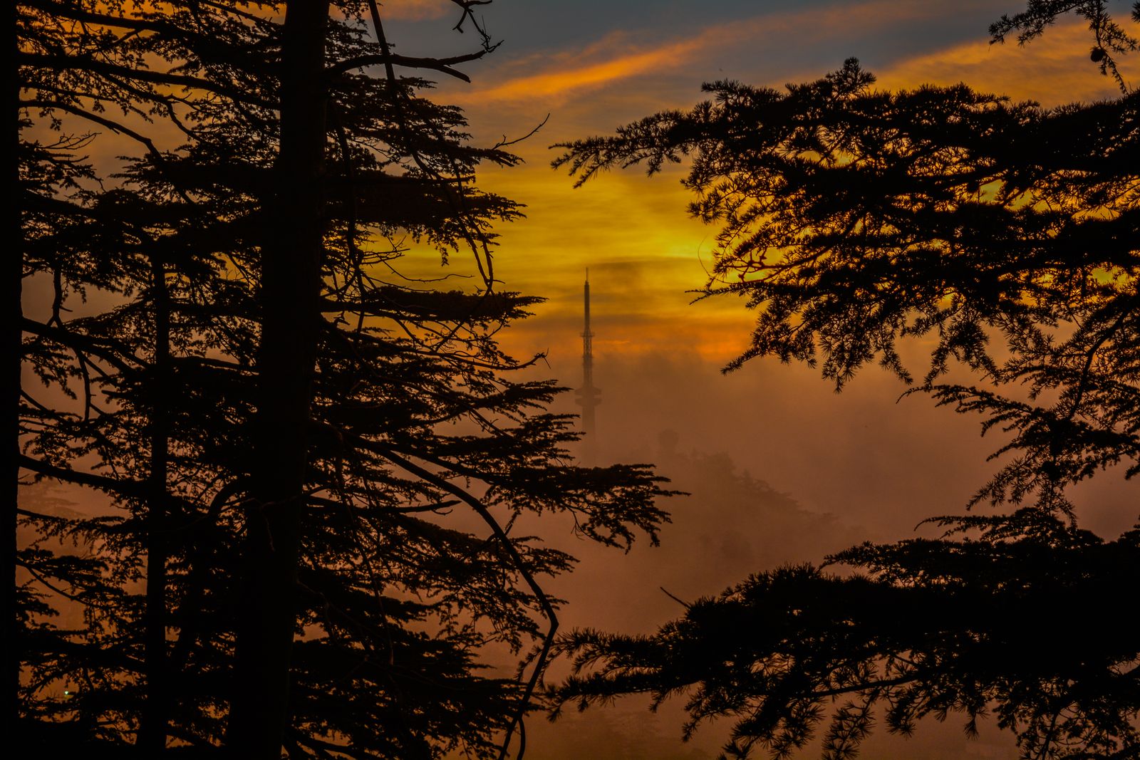 Shimla & Manali Volvo Tour (ex-Delhi)