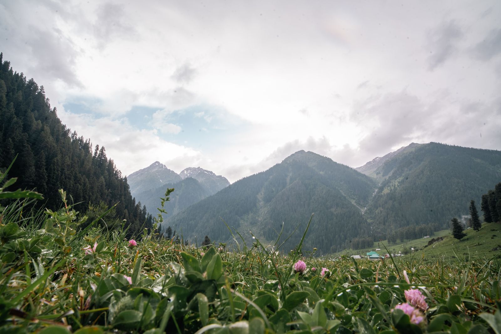 Alpine lake and wildflower meadow in the Kashmir Himalayas