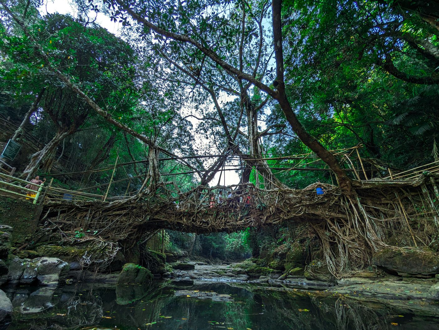 Nongriat double decker root bridge trek