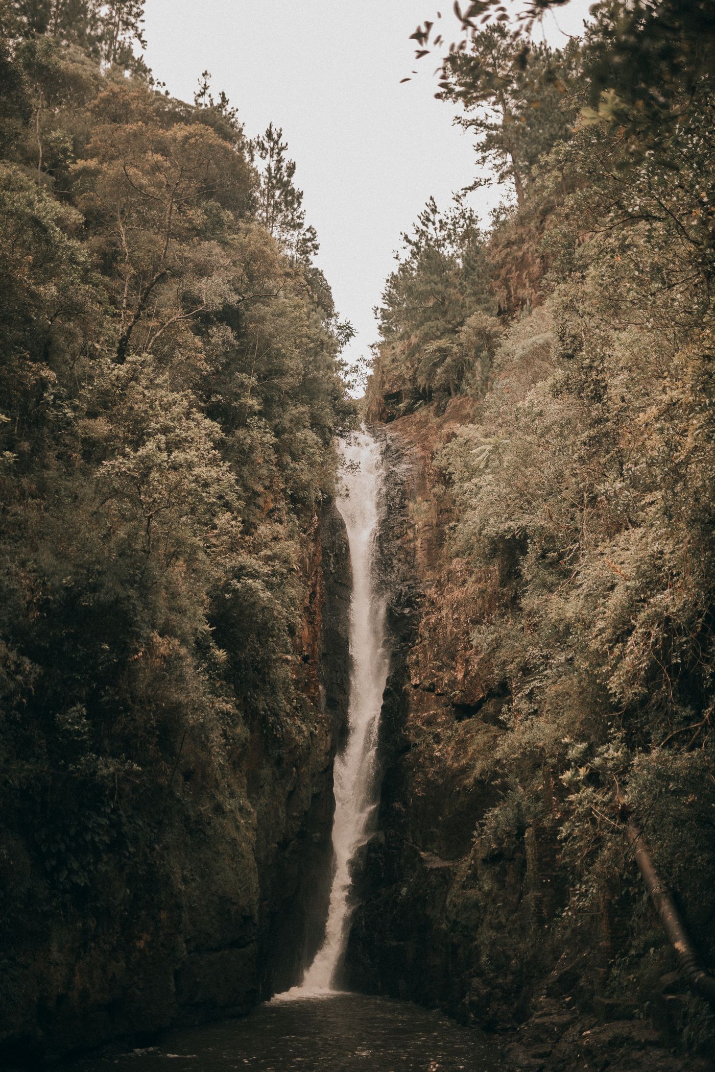 David Scott Trail Trek