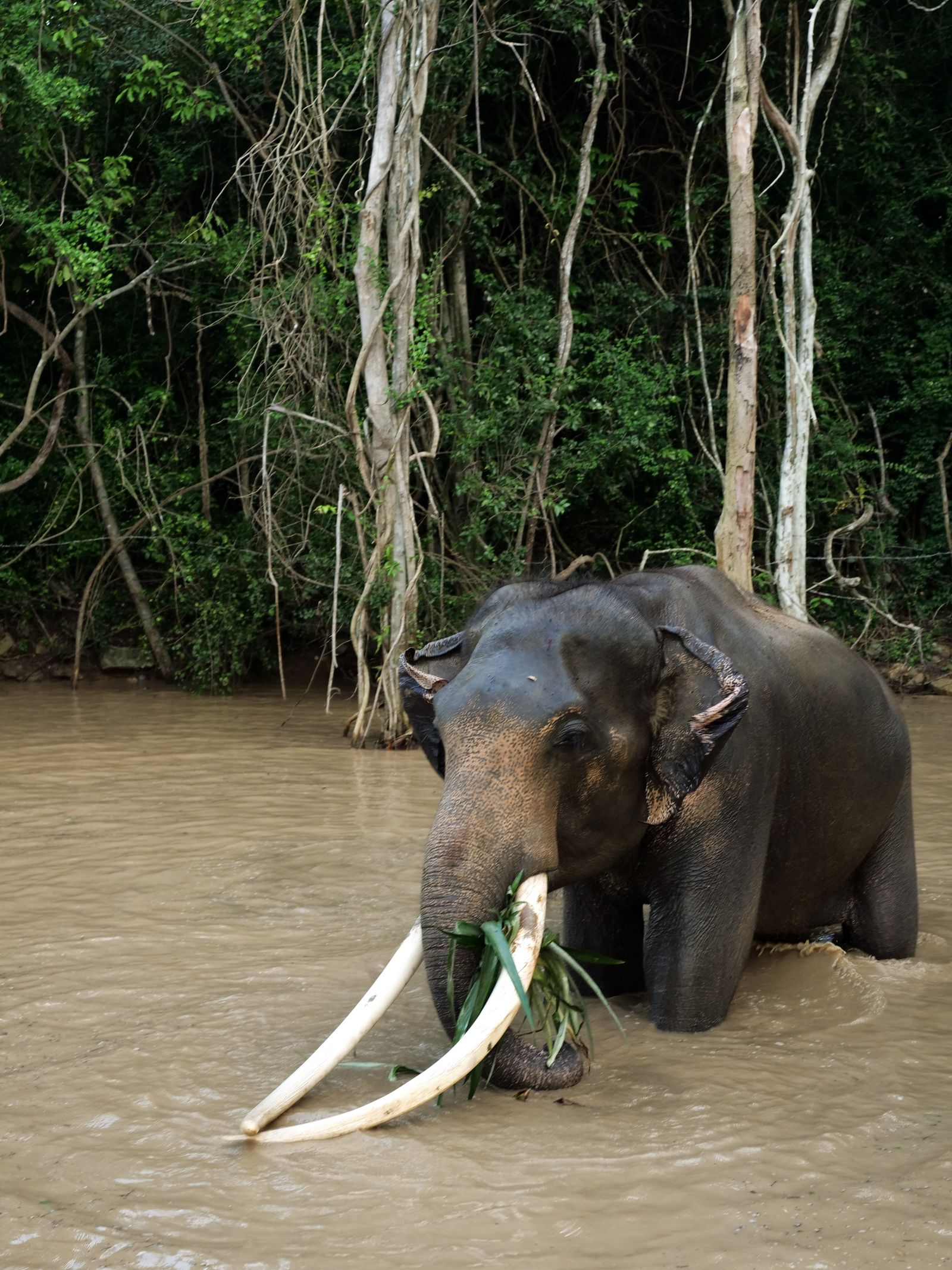 Thailand