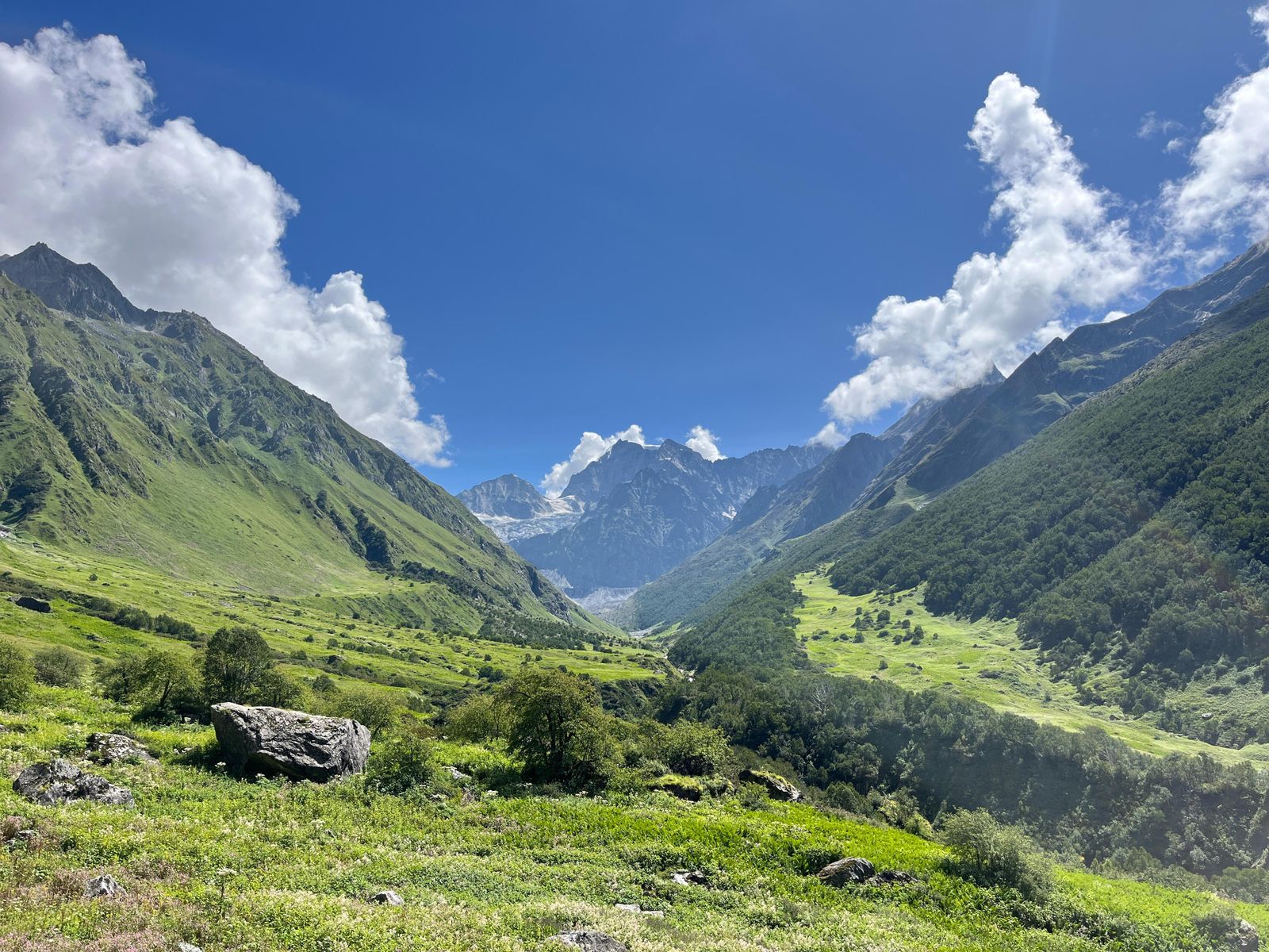 Hemkund Sahib & Valley of Flowers