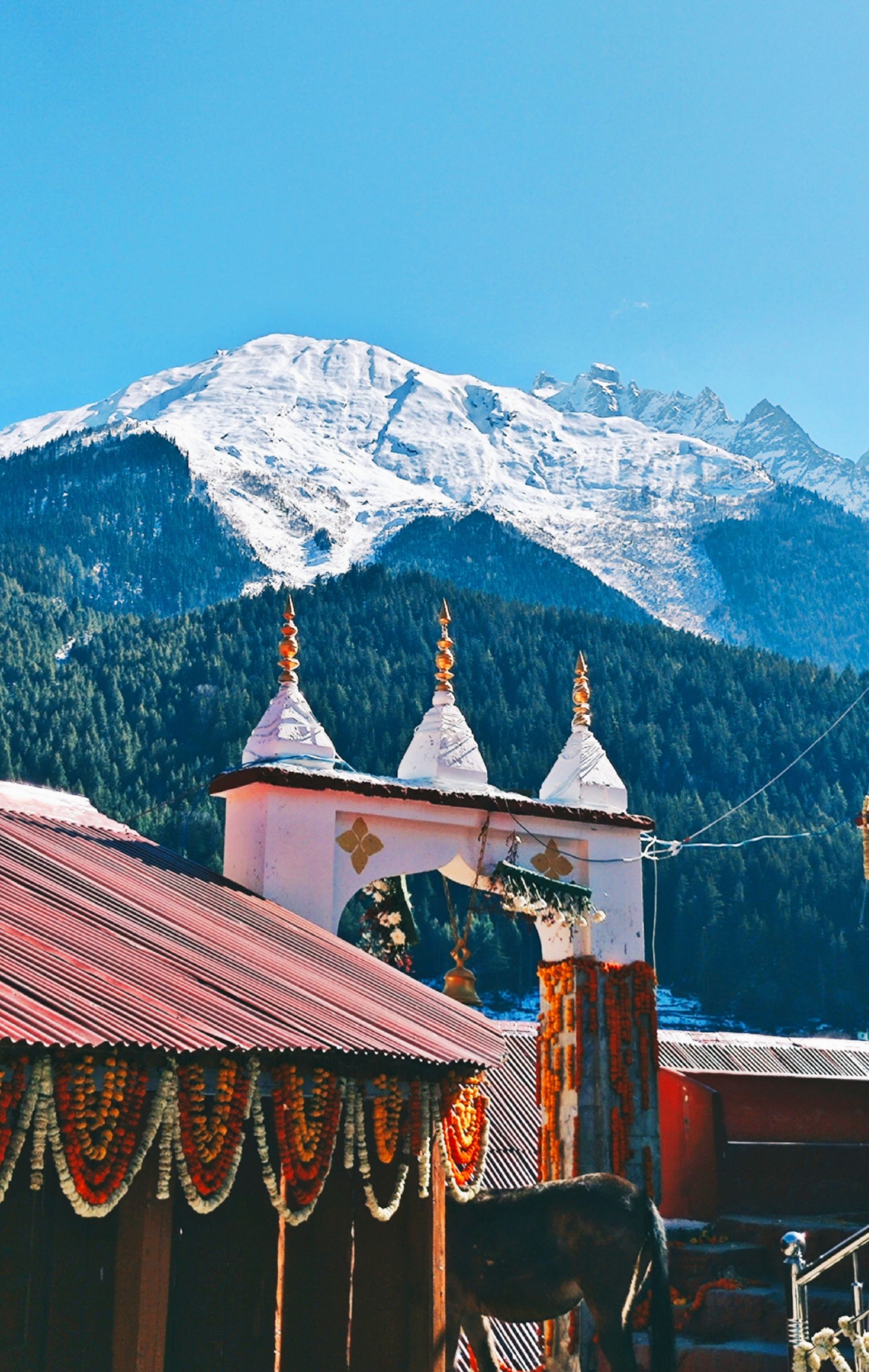 Badrinath Yatra