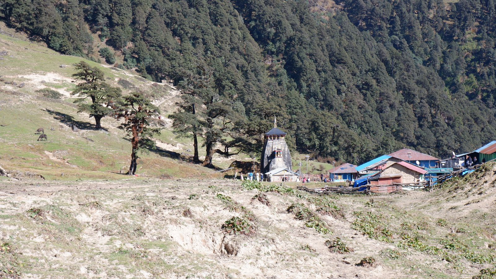 Chopta, Tungnath & Deoriatal Trek
