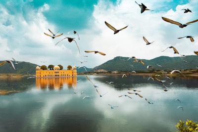 Rajasthan